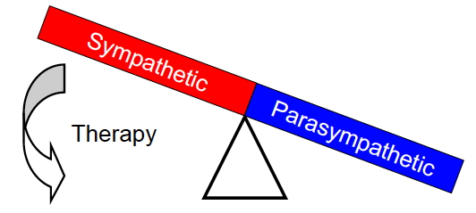 Autonomic Response Testing (ART) AndThe Treatment Of The Autonomic Nervous System