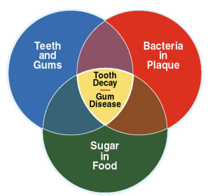 Minimally Invasive Dentistry And Prevention